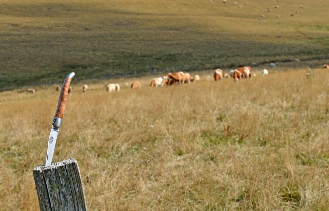 Ronde des Fromages : la Forge de Laguiole sur les Traces