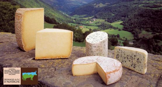 Noël sur un plateau de fromages