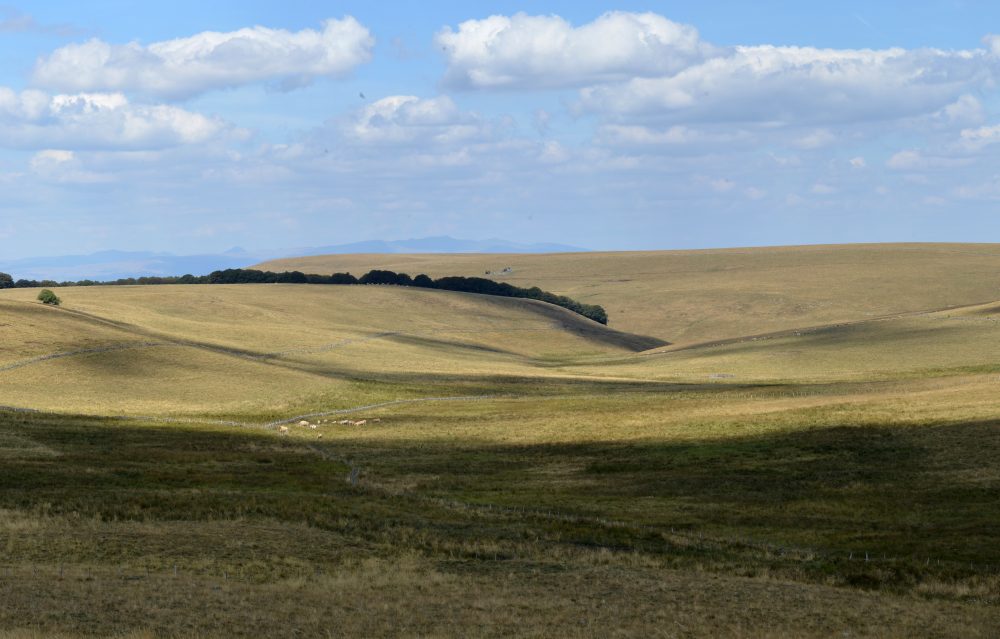 parc naturel régional Aubrac