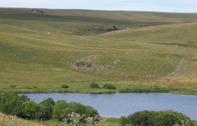 Balades et baignades en Aubrac, pays des lacs et des Boraldes