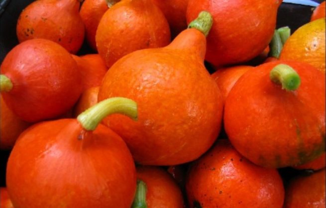 Potimarron, le légume orange qui voit la vie en rose